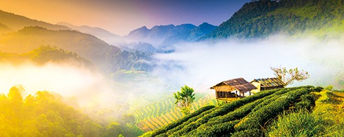 Thailand retirement places for foreign Expats
